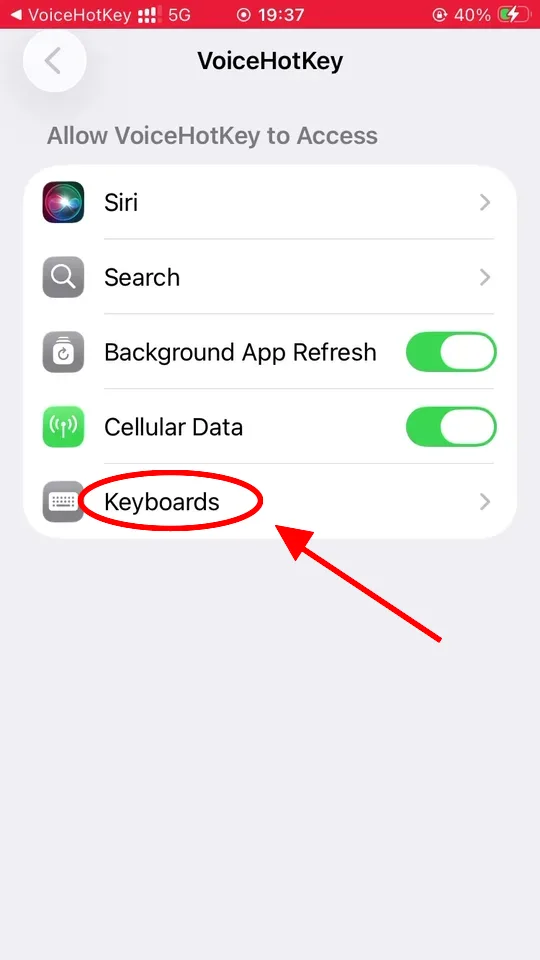 Ajustes de iOS mostrando el acceso de VoiceHotKey